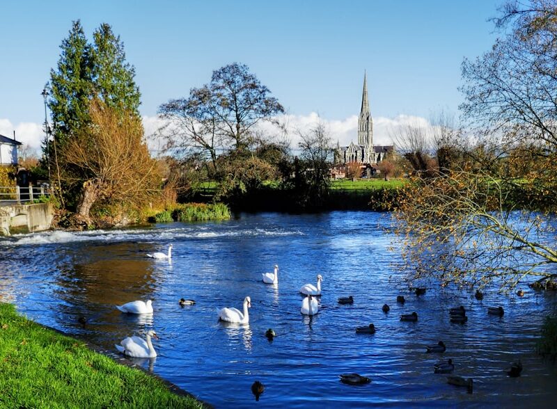 Salisbury Cathedral — Bespoke web design for Salisbury businesses by Lightly Salted