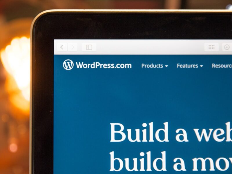 WordPress website maintenance dashboard showing updates, security, and performance monitoring