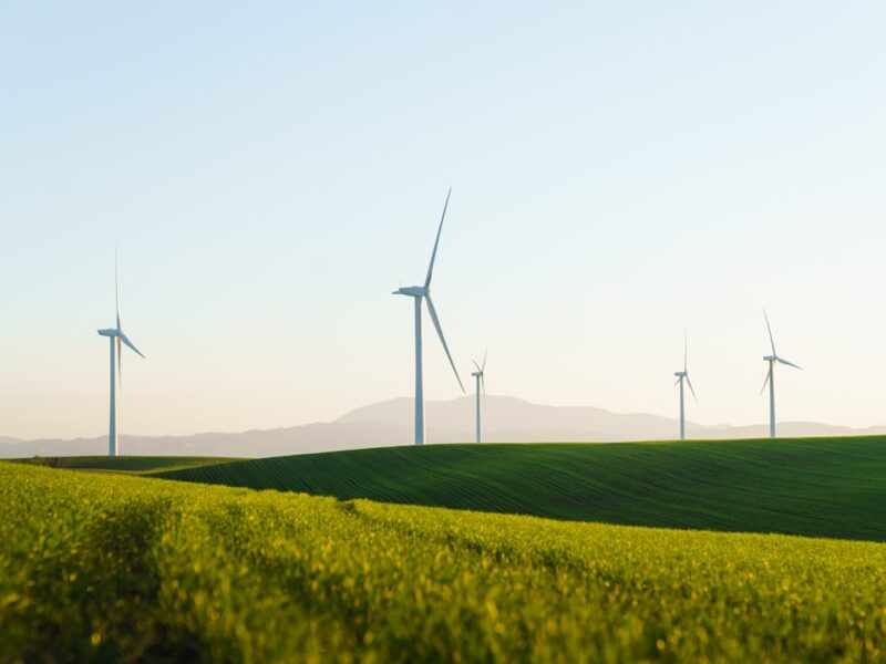 Sustainable web design — green hosting and performance optimisation for UK SMEs
